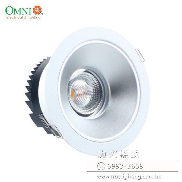 商業照明 天花射燈 30W LED Commercial Downlight By OMNI | 真光照明發展公司