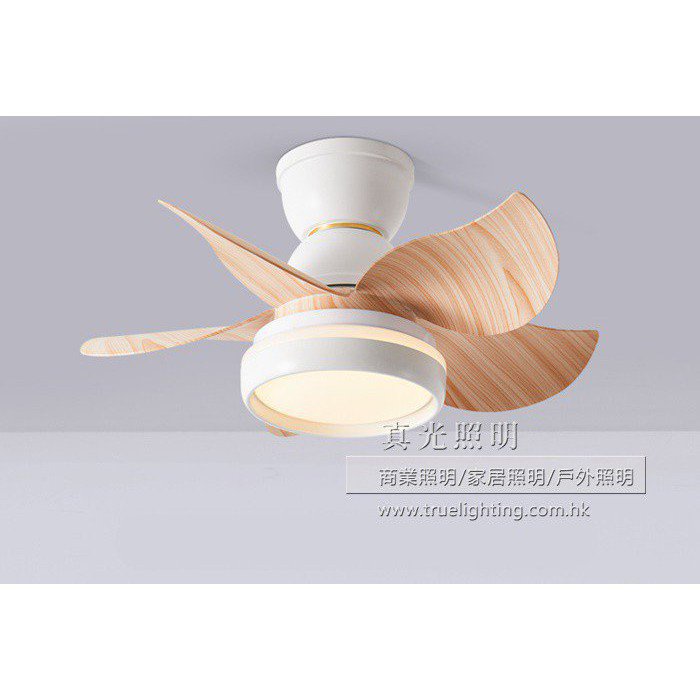 風扇燈 吊扇燈 Ceiling Fan | 真光照明發展公司