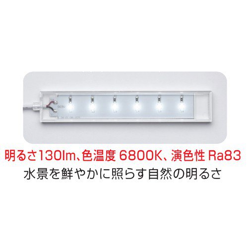 GEX Clear LED Flatty (White) | QT Aqua