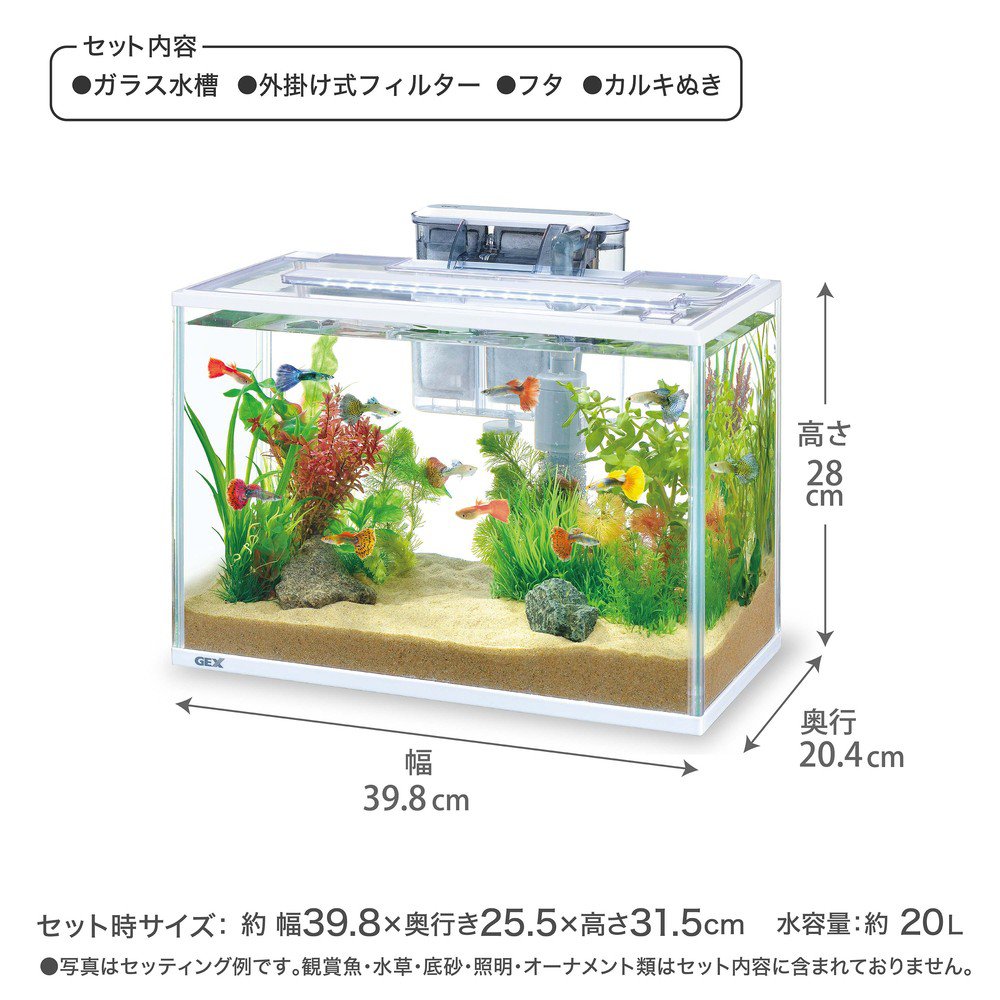 水槽用品 GEX full set AQUARIUM 60CM Amazon.co.jp: GEX AQUARIUM GLASS MARINA 600BKS DUAL CLEAN