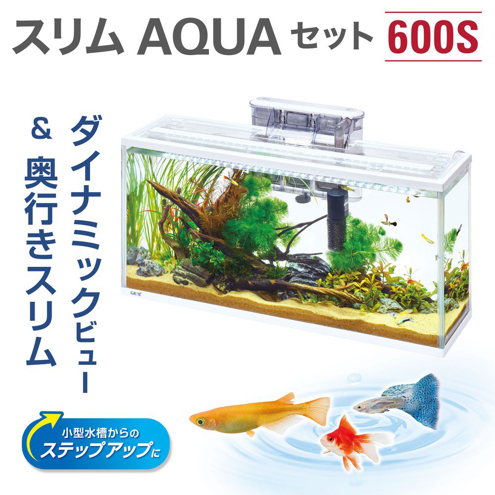GEX Slim Aqua Set 600S | QT Aqua
