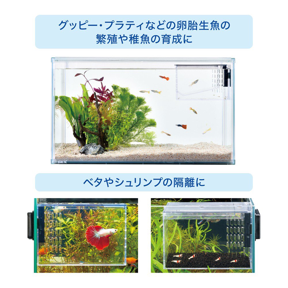GEX Multi Clear Case PRO Fish Hatchery | QT Aqua