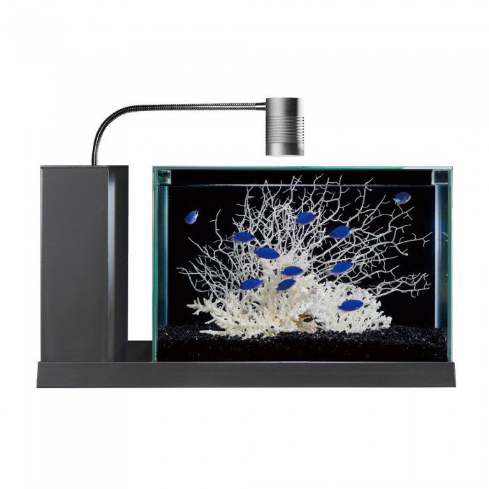 GEX Slim Aqua Set 400 | QT Aqua