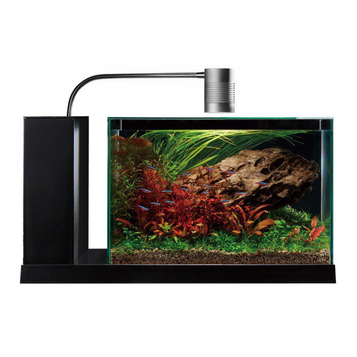 GEX AQUA-U WIDE ホワイト AQUA-U Wide ホワイト 白 GEX aquarista AQUA-U WIDE 2.0 White